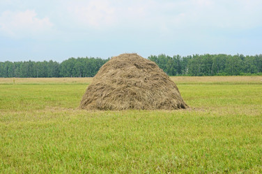 Similar image 2981467