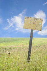 Similar image 2981480