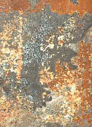 Similar image 2981481