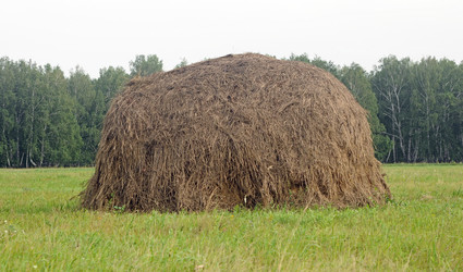 Similar image 2981487