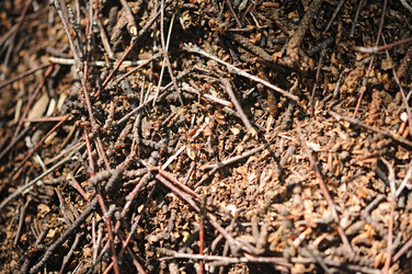 Similar image 2981490