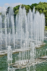 Similar image 2981538