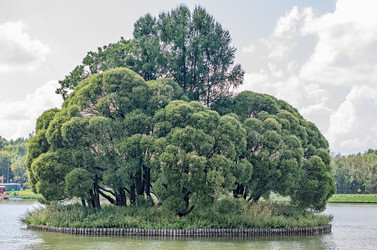 Similar image 2981590