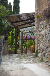 Similar image 2981762