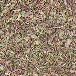 Similar image 2981772