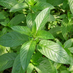 Similar image 2981777