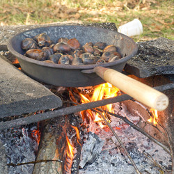 Similar image 2981787