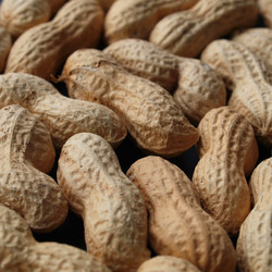 Similar image 2981803