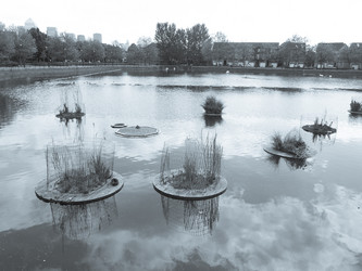 Similar image 2981814