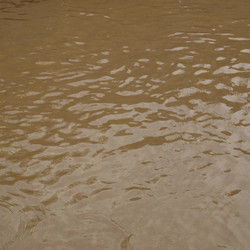 Similar image 2981843