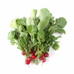 Similar image 2981845