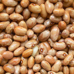 Similar image 2981854