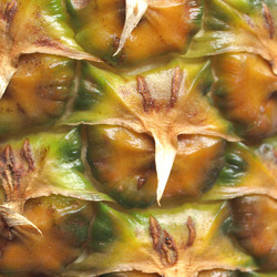 Similar image 2981930