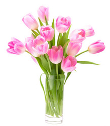 Similar image 2981997