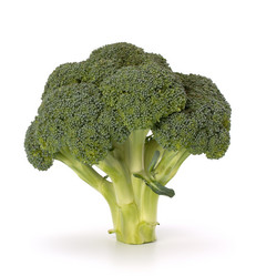 Similar image 2982003