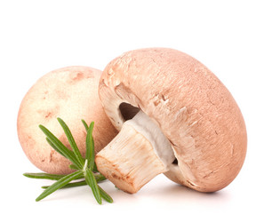 Similar image 2982010