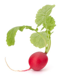 Similar image 2982018