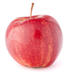 Similar image 2982033