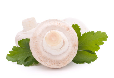 Similar image 2982036