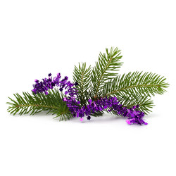 Similar image 2982043