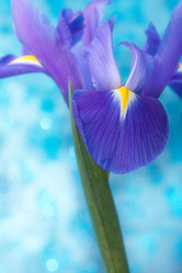 Similar image 2982048