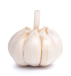 Similar image 2982061