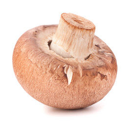 Similar image 2982064