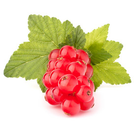 Similar image 2982066