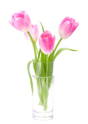 Similar image 2982079