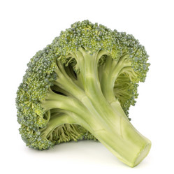 Similar image 2982094