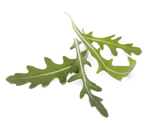 Similar image 2982098