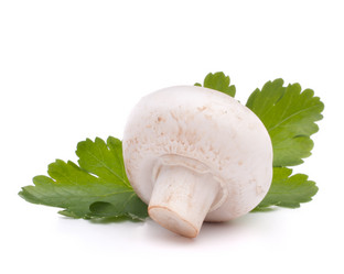 Similar image 2982119