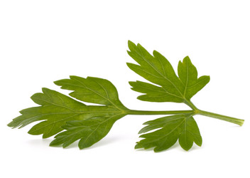 Similar image 2982127