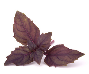 Similar image 2982129