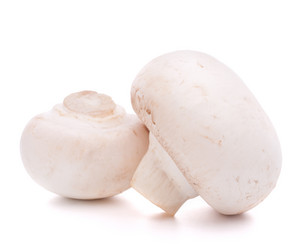 Similar image 2982146