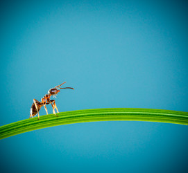 Similar image 2982314