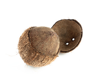 Similar image 2982331