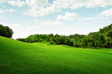 Similar image 2982333