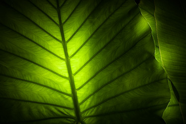 Similar image 2982338