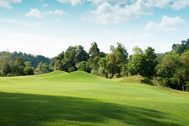 Similar image 2982346