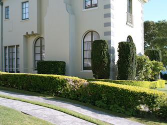 Similar image 2982347