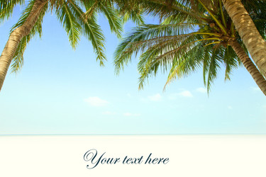 Similar image 2982375