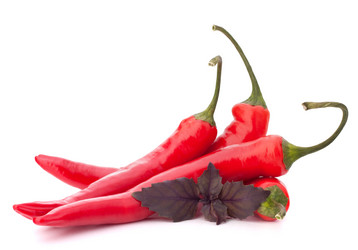 Similar image 2982948