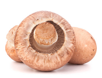 Similar image 2982968