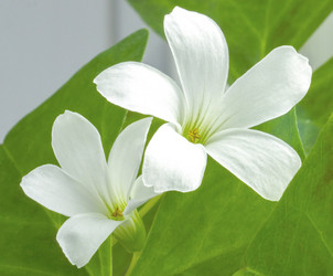 Similar image 2983510