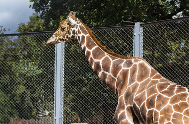 Similar image 2983527