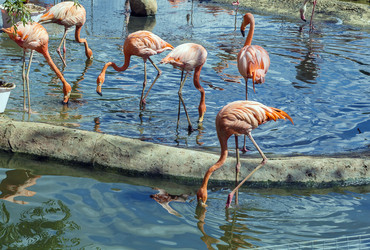 Similar image 2983528