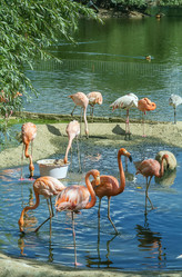 Similar image 2983529