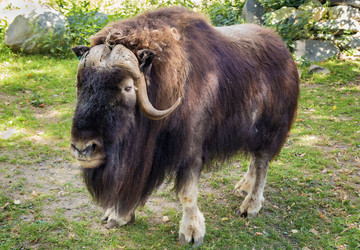 Similar image 2983533