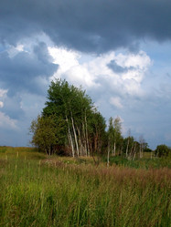 Similar image 2983552